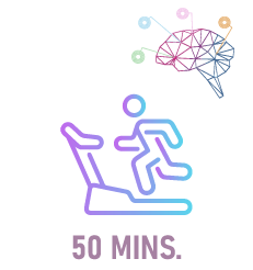 Ejercicio Terapéutico Individual (50 min)